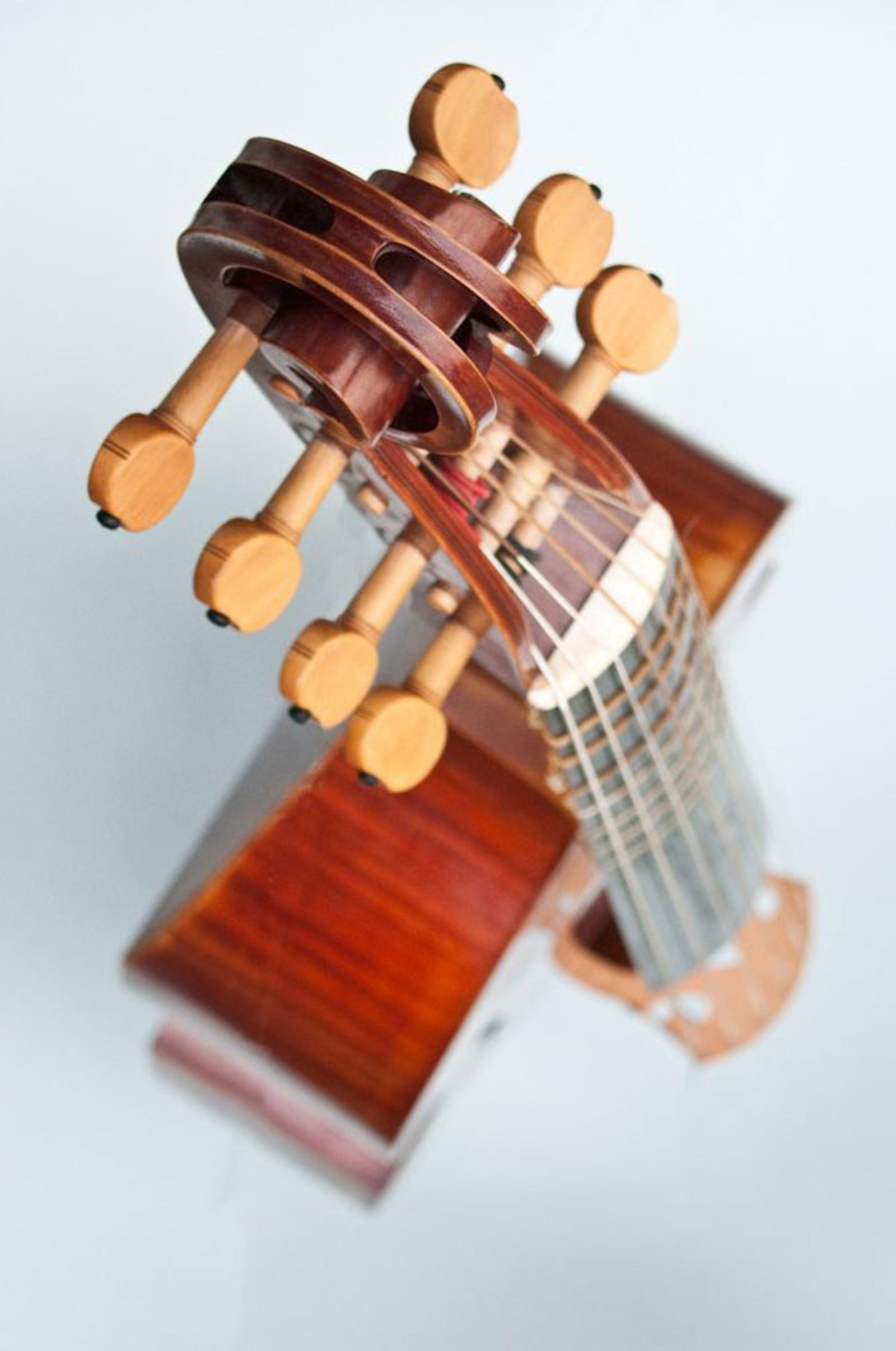 Viola da gamba